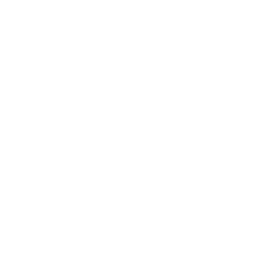 Walz Travels